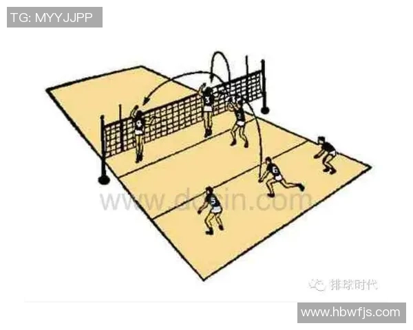 南京排球队反击体系解析与战术运用探讨 南京排球队反击体系解析与战术运用探讨