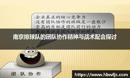 南京排球队的团队协作精神与战术配合探讨